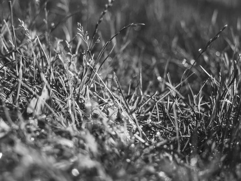 sudoku xy-wing screenshot 4